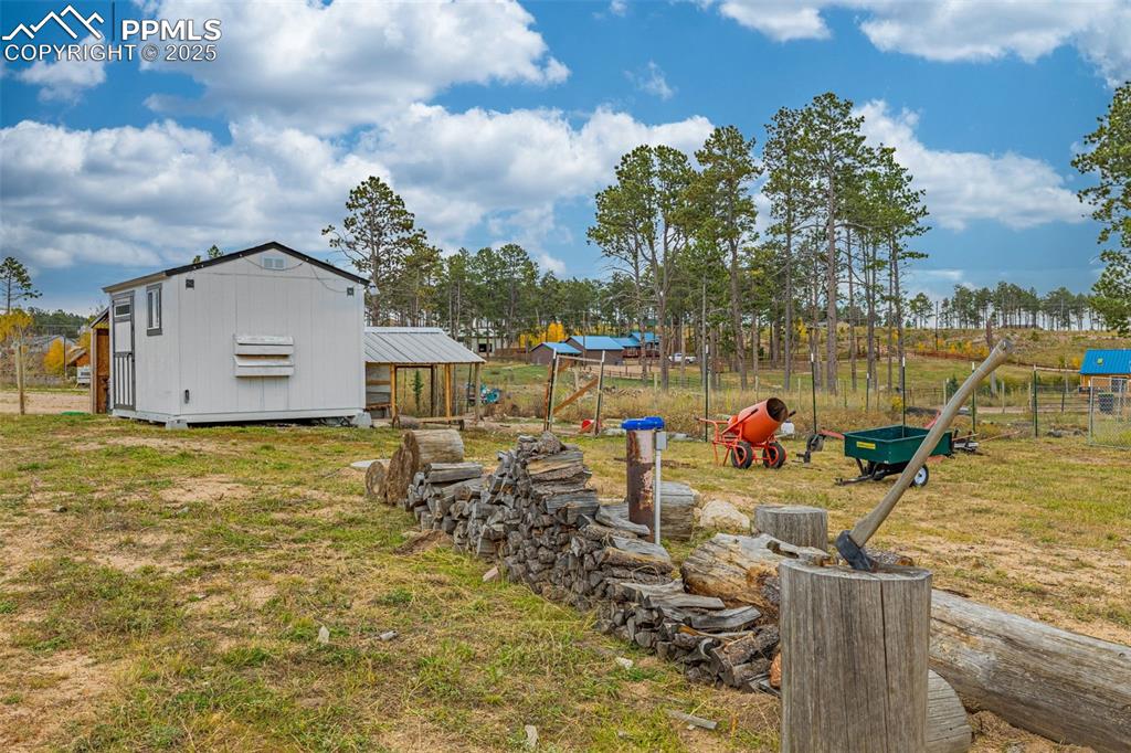 Image 31 of 37: Yard