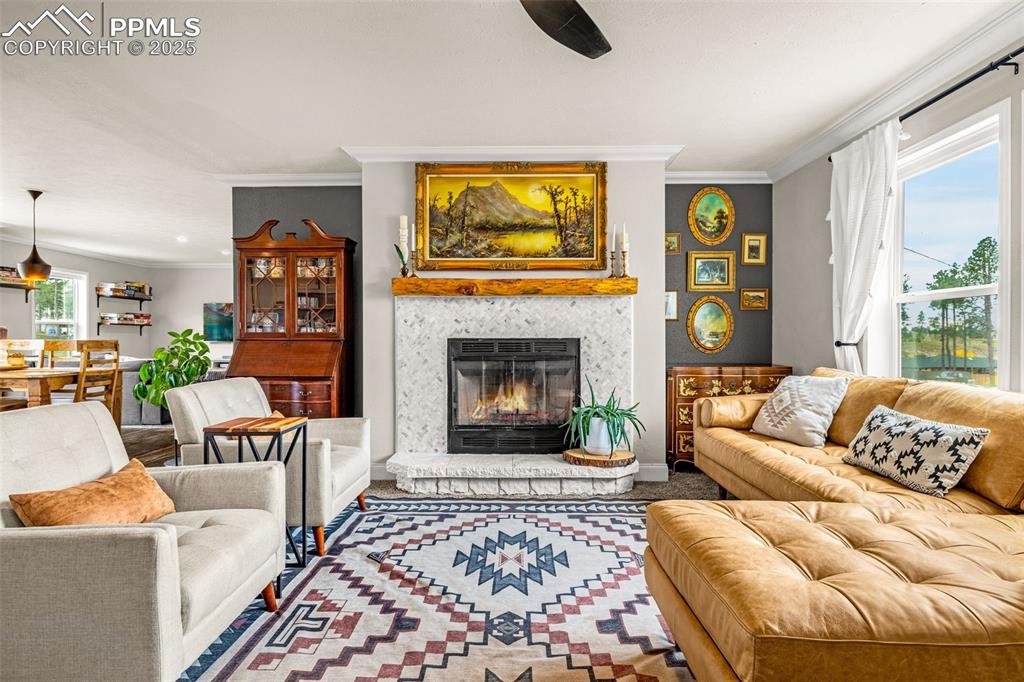 Image 4 of 37: Living Room