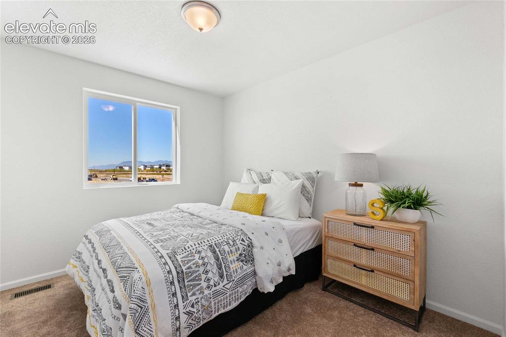 Image 24 of 30: Neutral wall finishes, textured carpeting, and a flush-mount ceiling light 