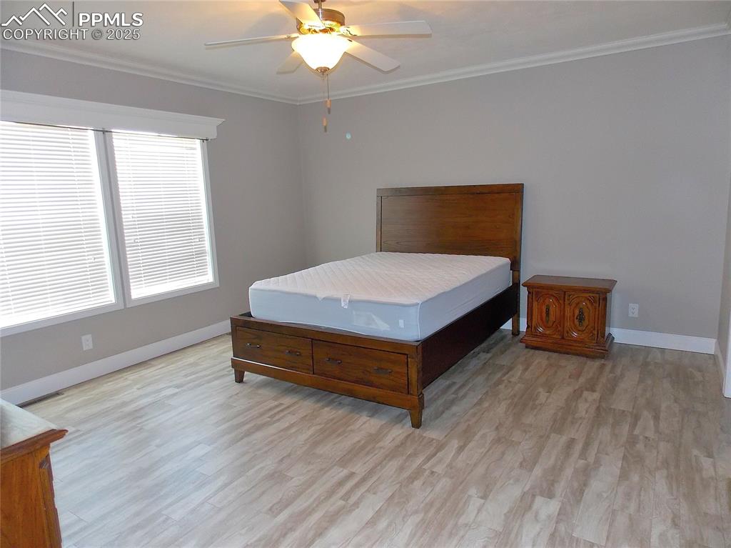 Image 14 of 33: Large windows, lots of light