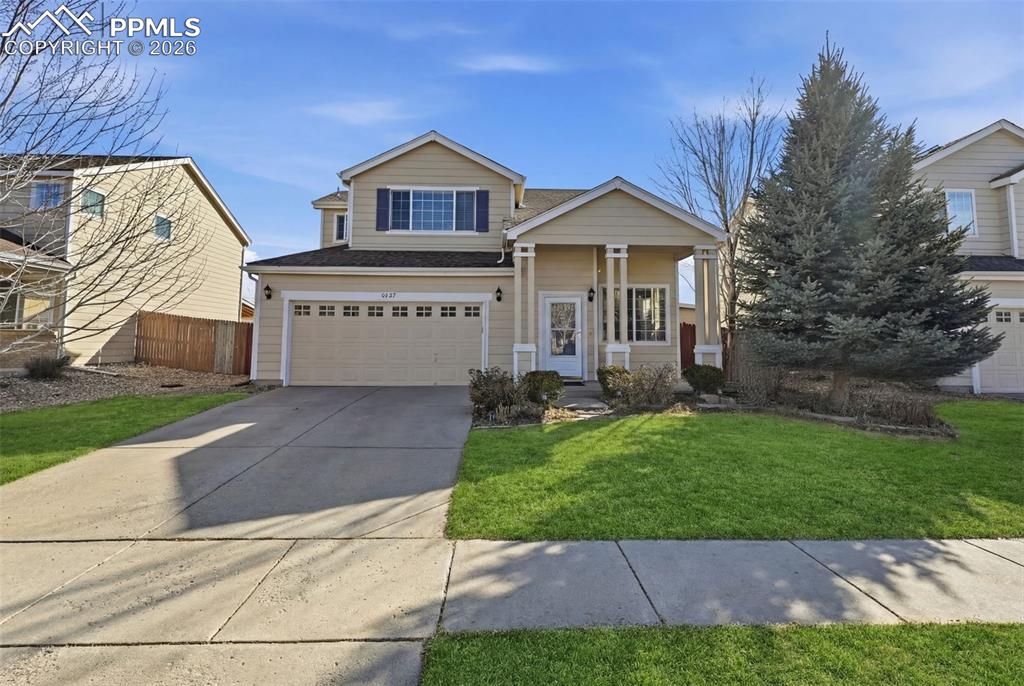 Image 34 of 40: Grass virtually colored