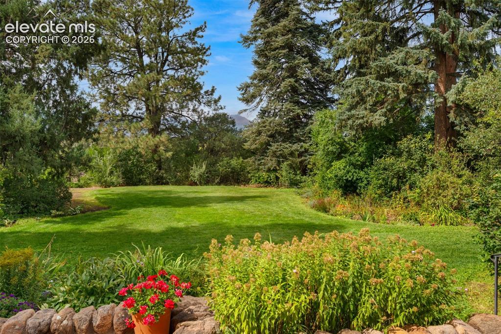 Image 45 of 50: Your very own park! Trim some trees and have a stunning Mountain view.