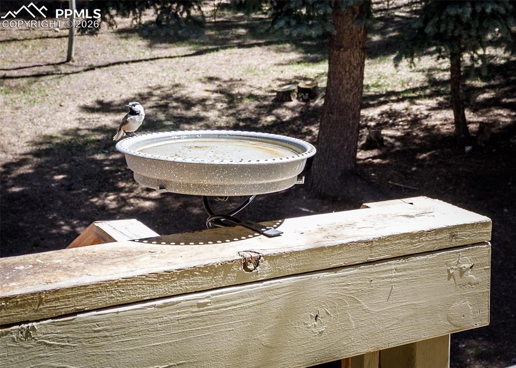 Image 21 of 50: Other