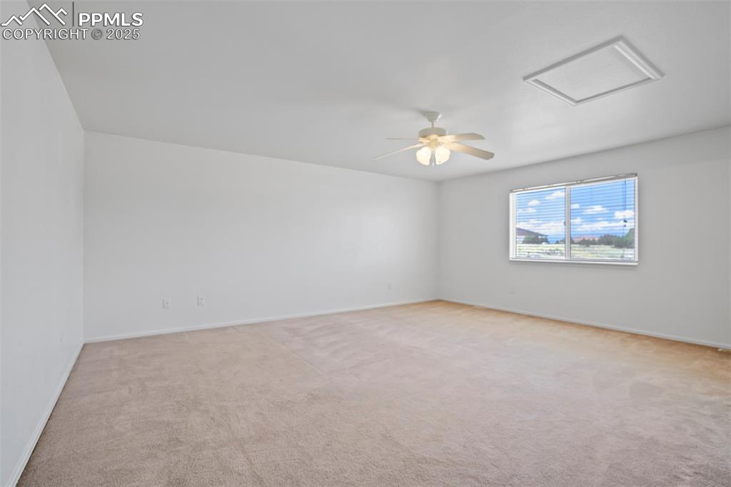 Image 19 of 50: Other