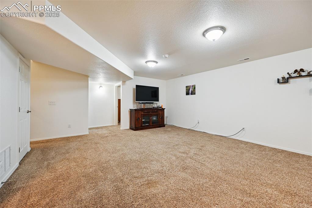Image 29 of 45: Unfurnished living room with a textured ceiling and carpet floors