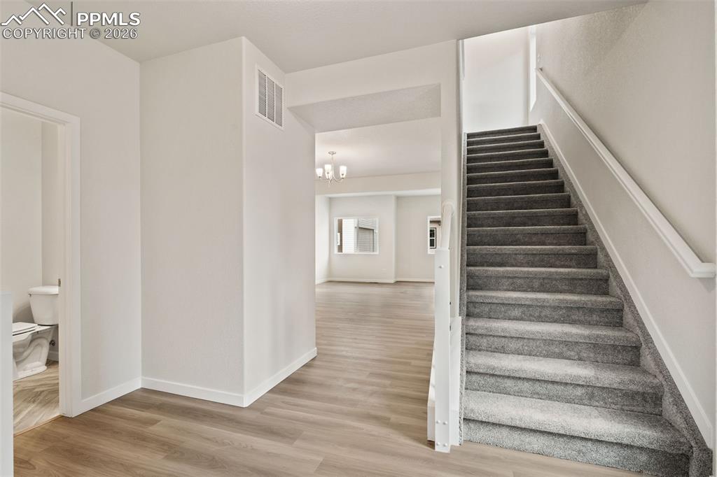 Image 19 of 19: Other