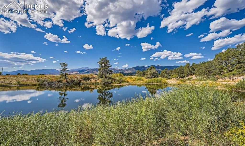 Image 50 of 50: The neighborhood offers miles of walking trails and beautiful nature spots