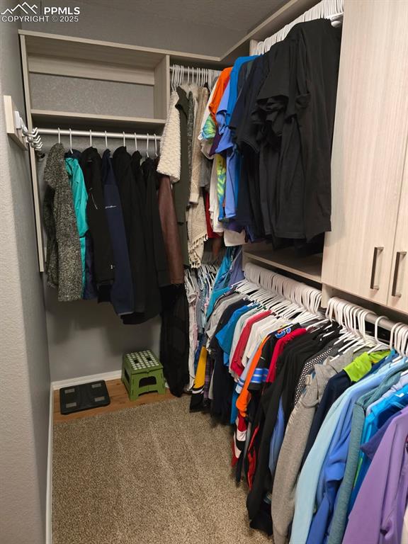 Image 26 of 42: Walk in closet featuring carpet