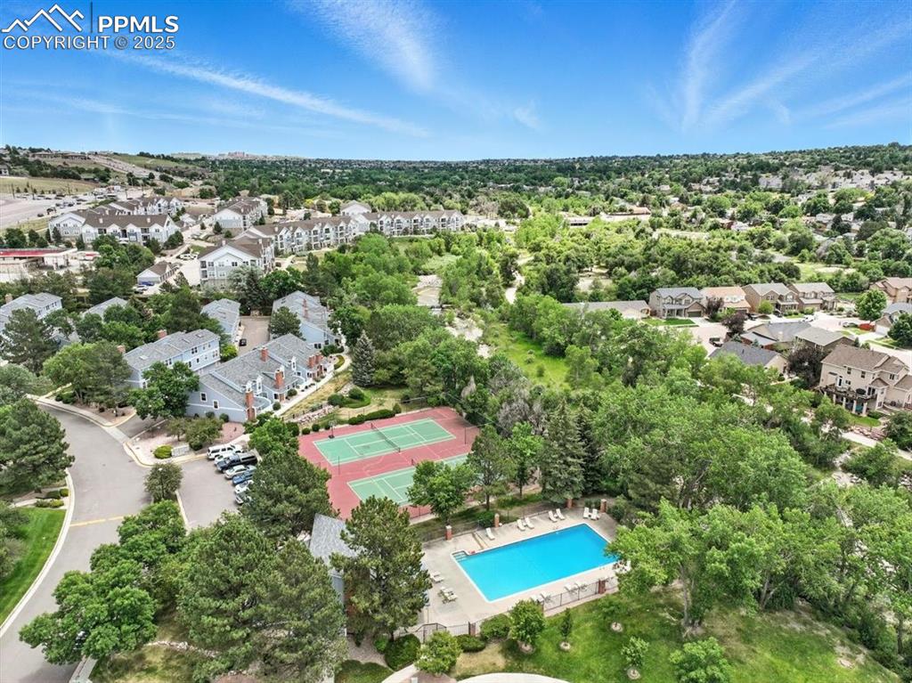 Image 22 of 25: Bird