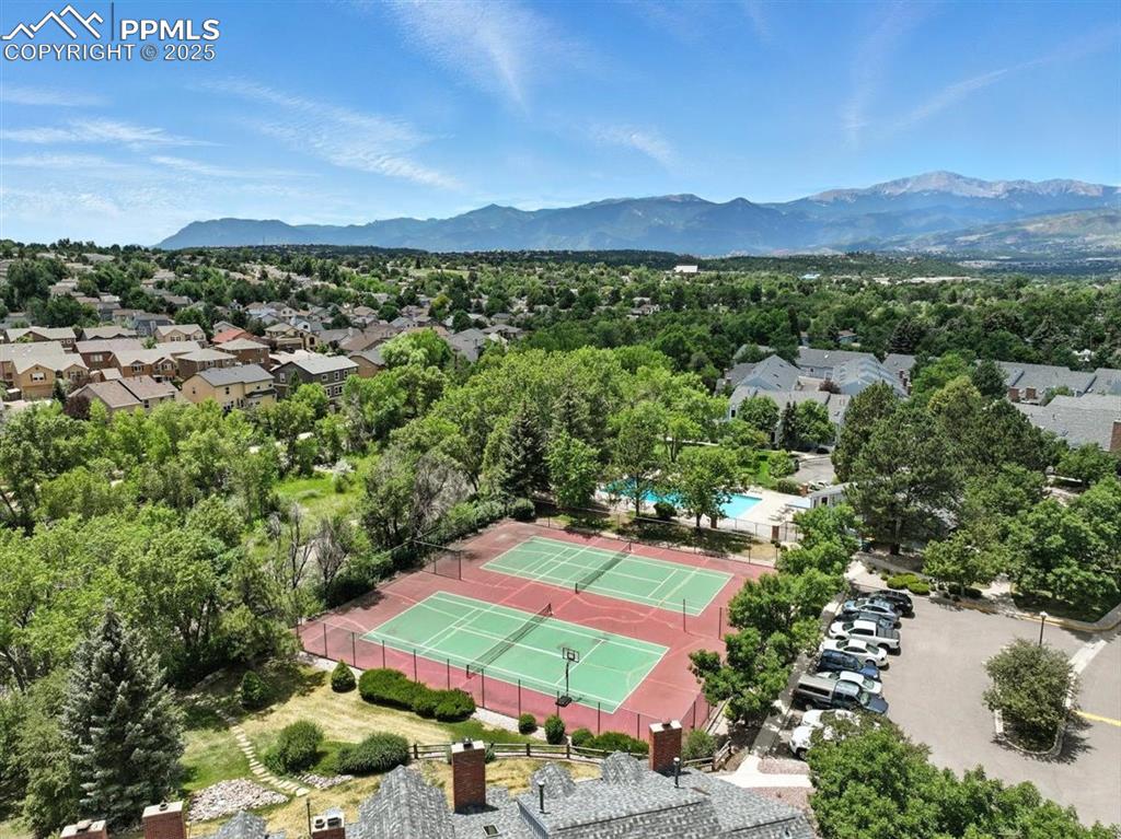 Image 25 of 25: Bird