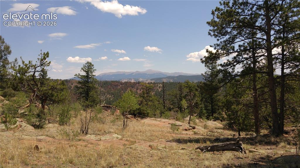 Image 16 of 43: View
