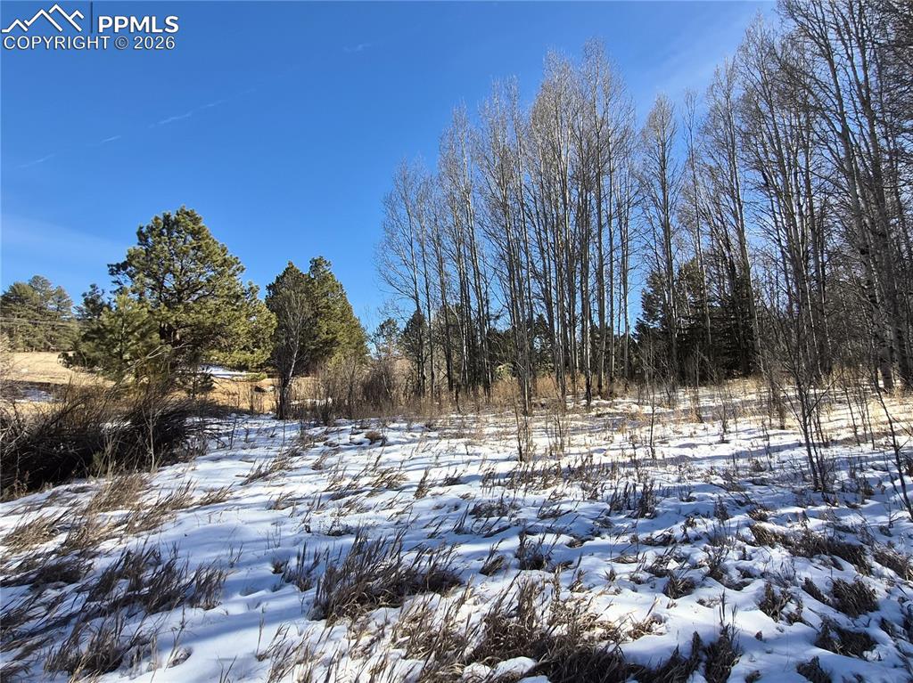 Image 10 of 31: Other