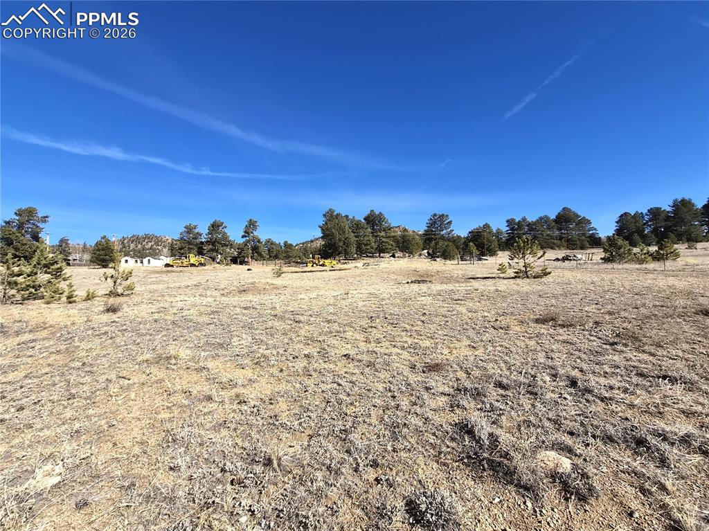 Image 11 of 31: Yard