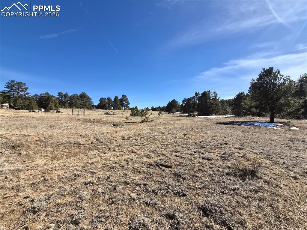 Image 12 of 31: Yard