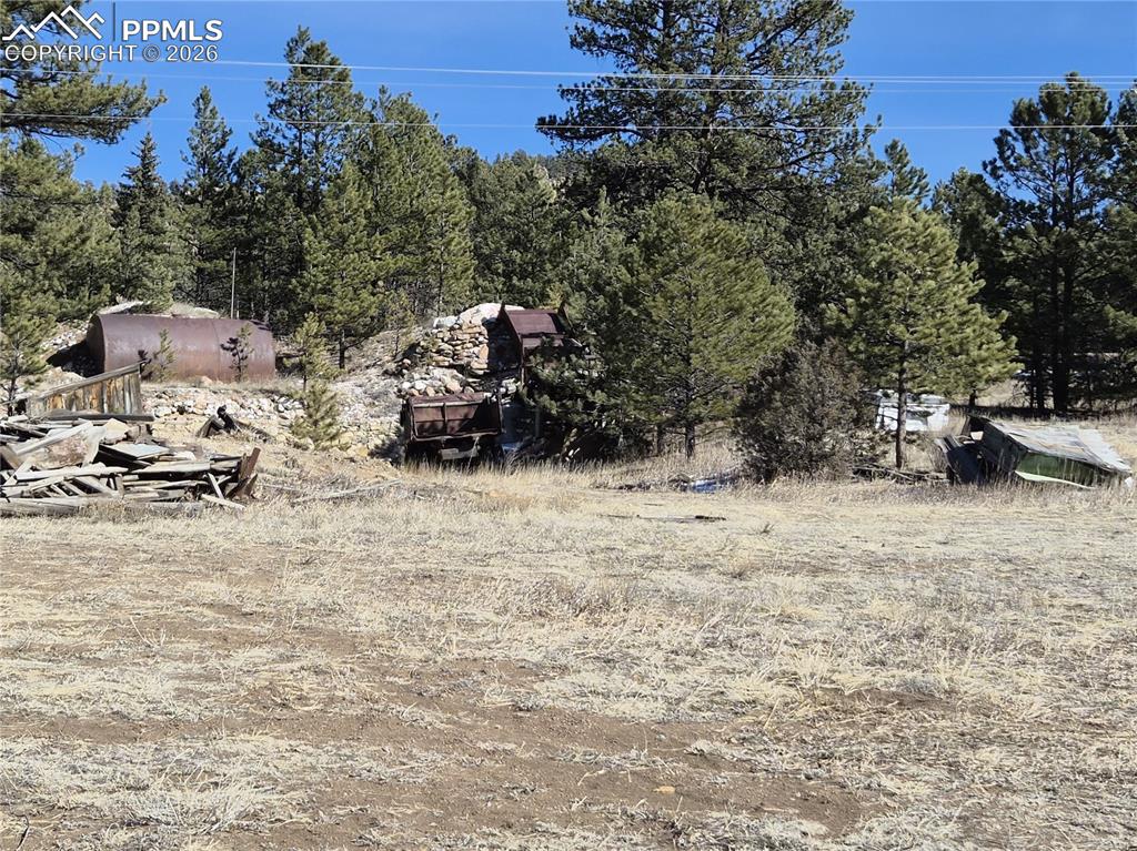 Image 16 of 31: Yard