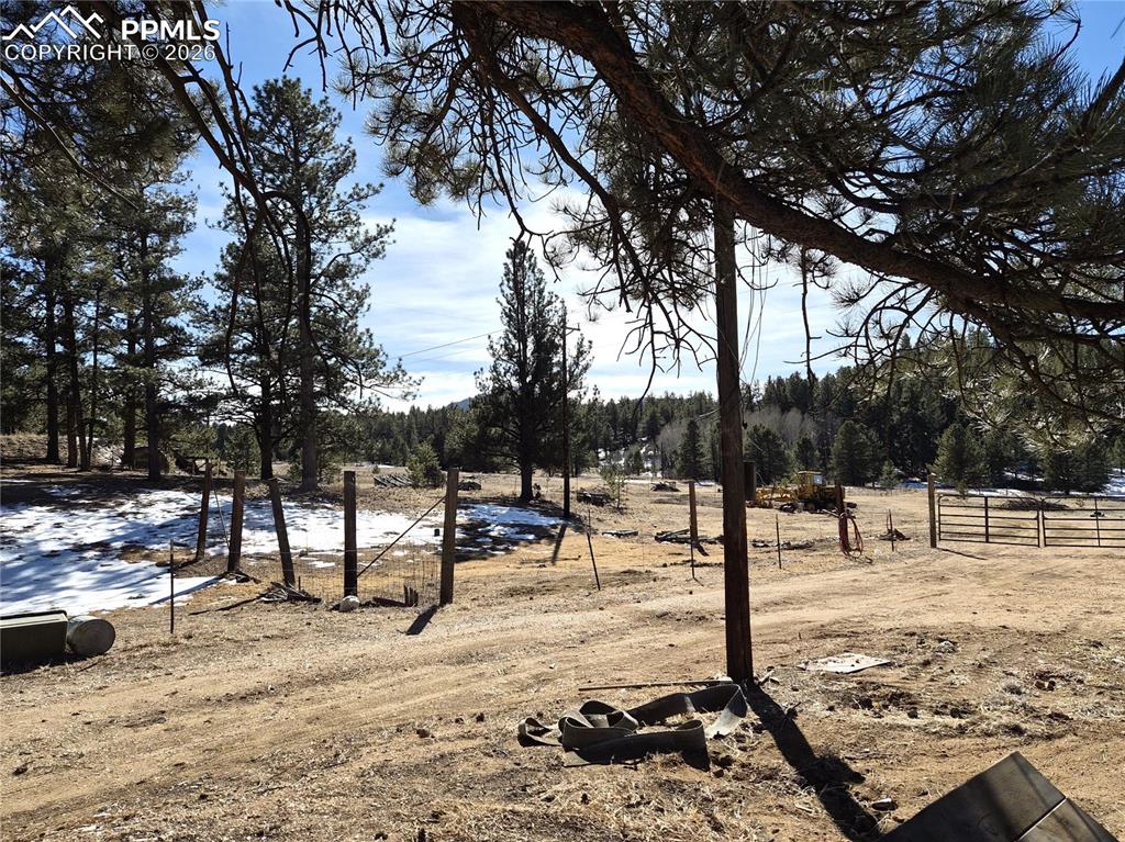 Image 17 of 31: Yard