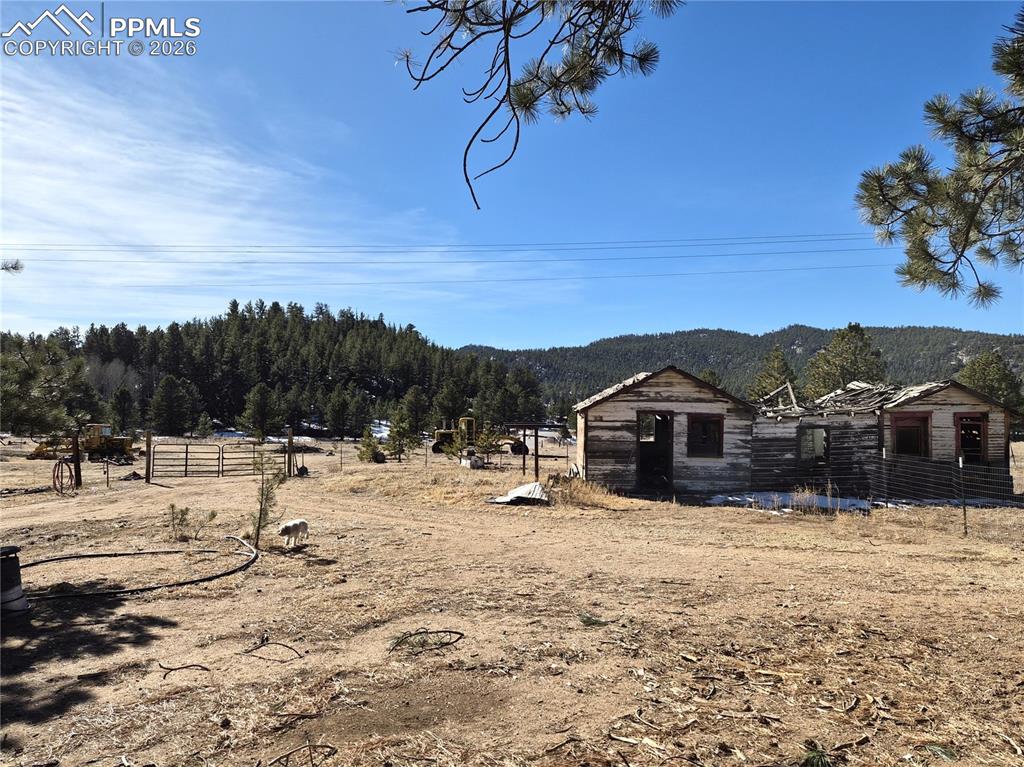 Image 20 of 31: Yard