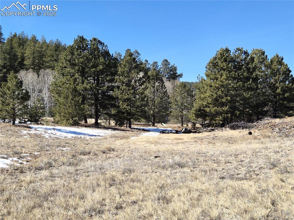 Image 3 of 31: Other