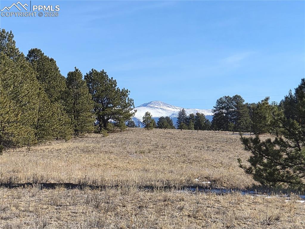 Image 4 of 31: Other