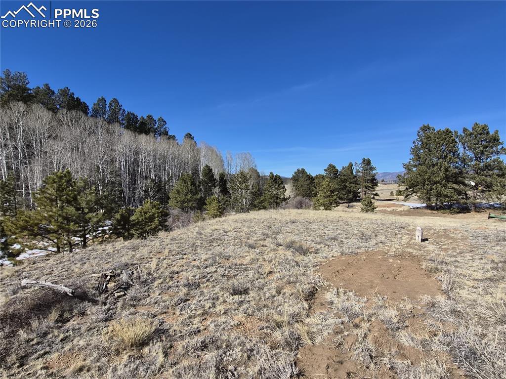 Image 6 of 31: Other