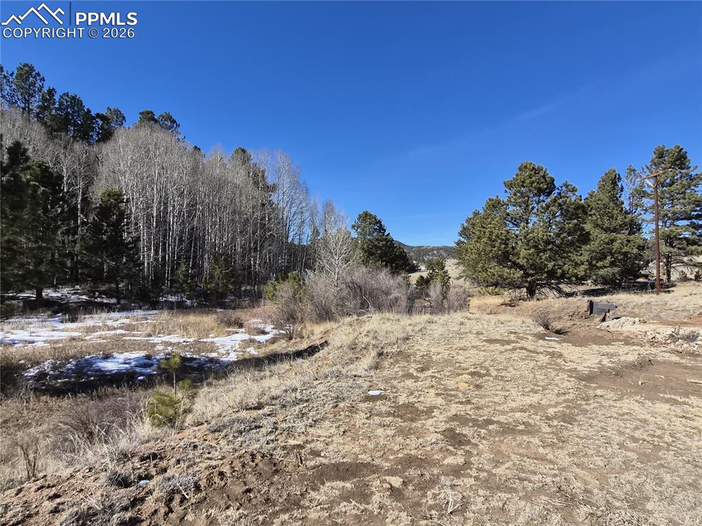 Image 8 of 31: Other