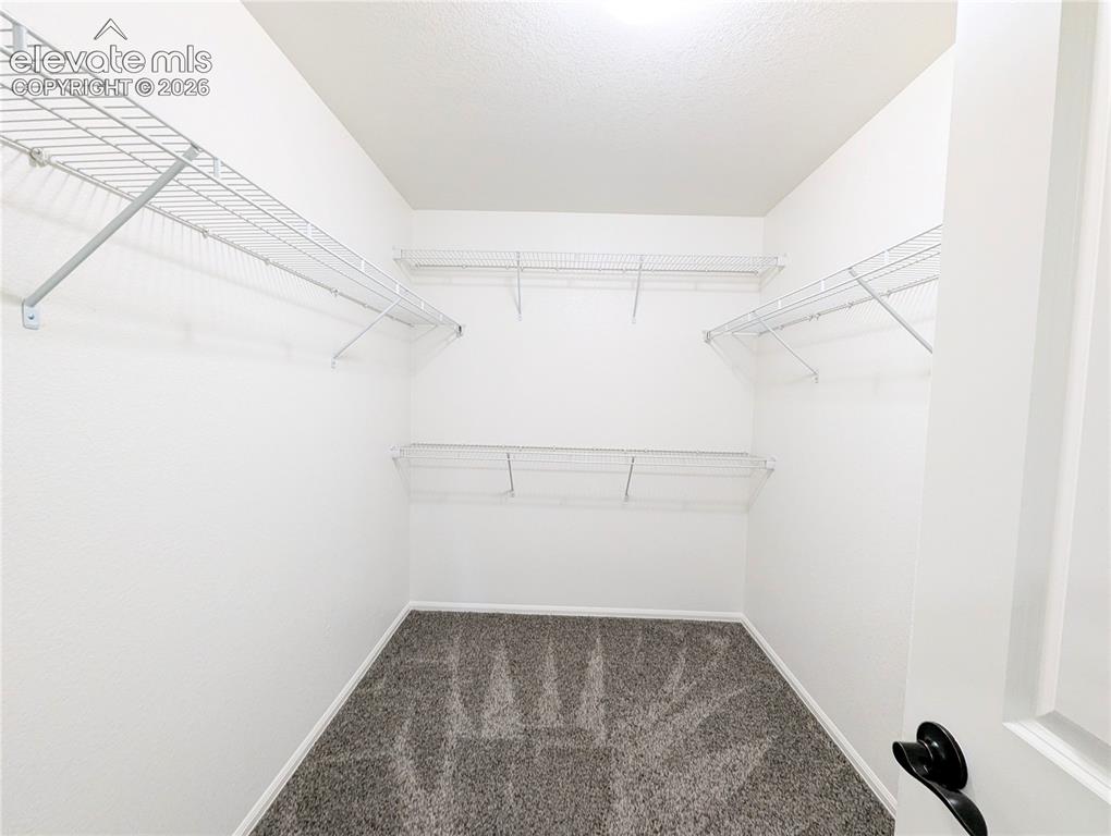 Image 28 of 49: Carpeted hallway featuring light gray walls, white trim, and white doors wi