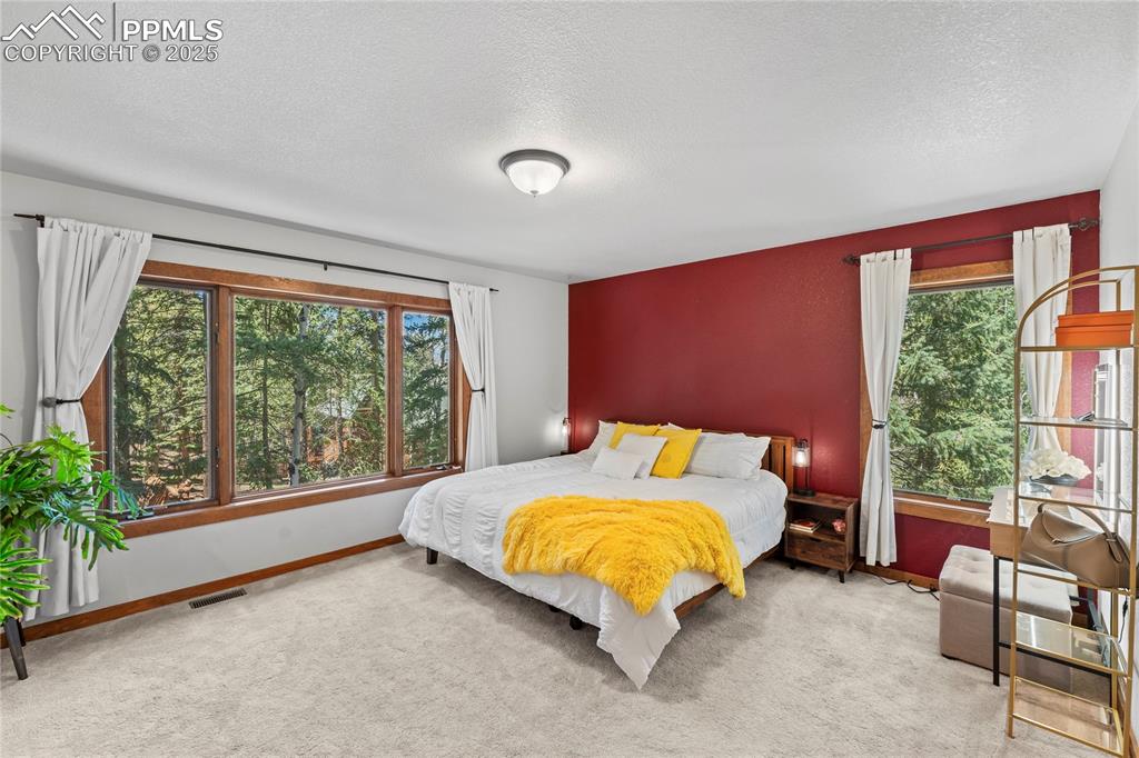 Image 19 of 49: Carpeted bedroom featuring a textured ceiling and multiple windows
