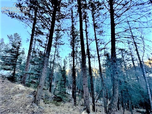 Image 4 of 21: Other