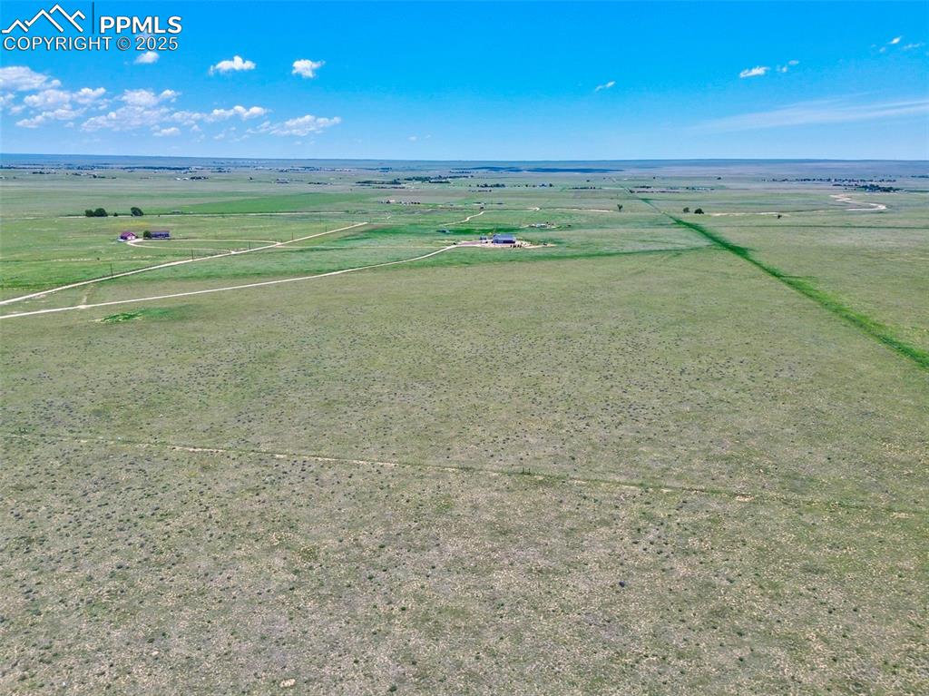 Image 14 of 14: Bird