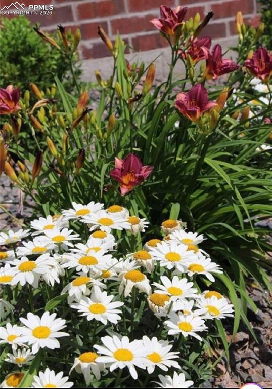 Image 29 of 30: Flowers in Springtime!