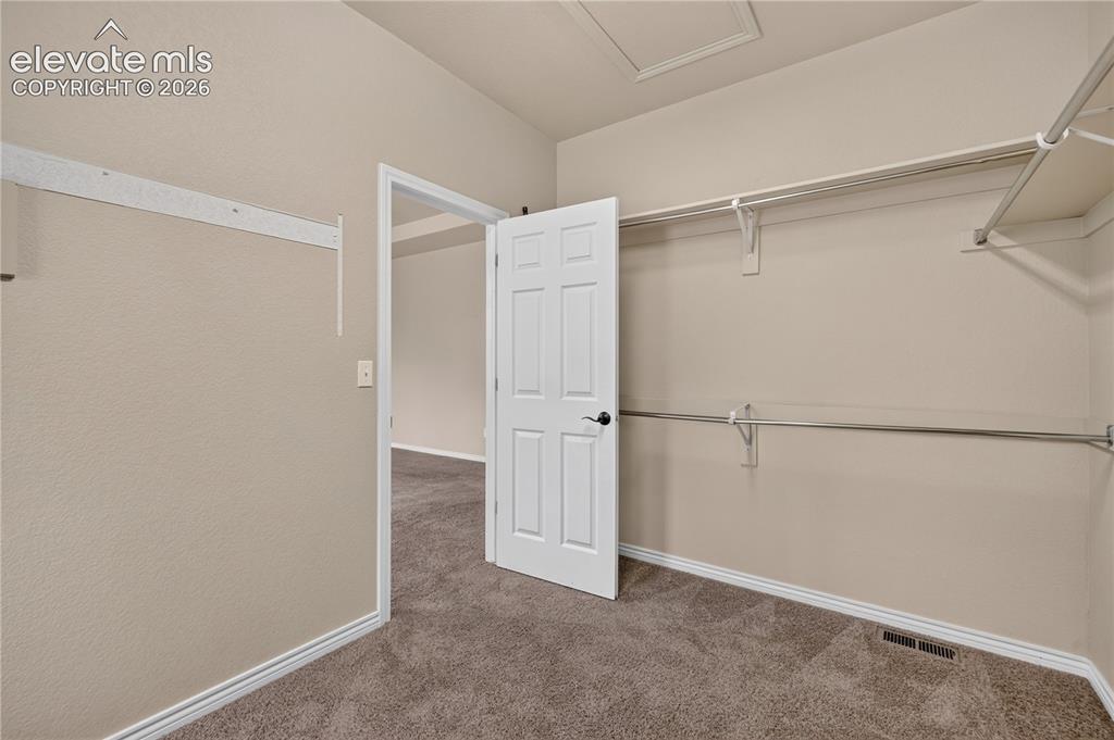 Image 29 of 43: Walk-in closet featuring wall-to-wall carpeting, white six-panel interior d