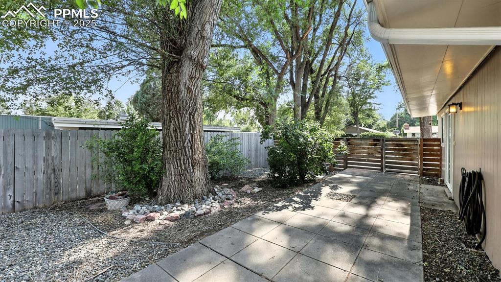 Image 12 of 35: Side yard with patio, and mature trees and shrubs.