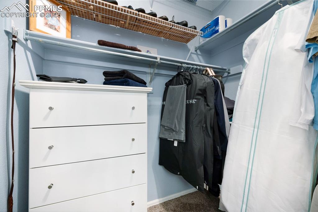 Image 22 of 49: Spacious closet with carpet flooring