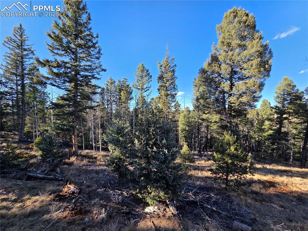 Image 10 of 24: Other