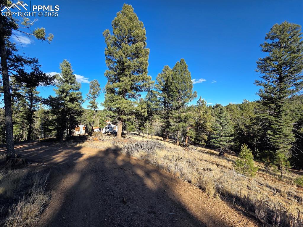 Image 18 of 24: Community