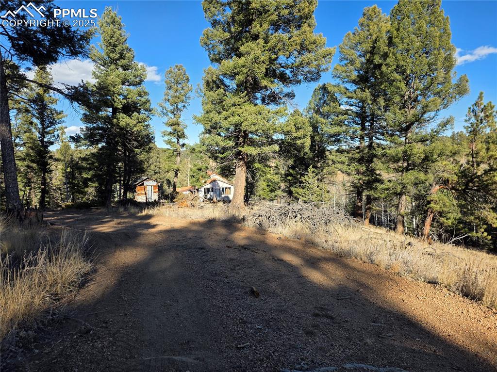 Image 19 of 24: Community