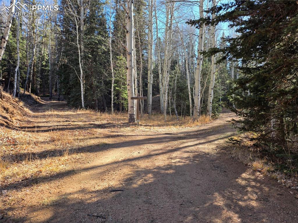 Image 20 of 24: Community