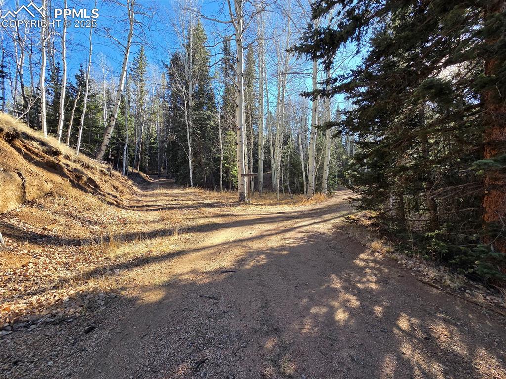 Image 21 of 24: Community