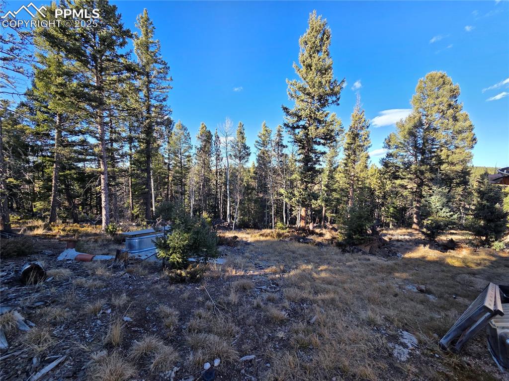 Image 6 of 24: Other