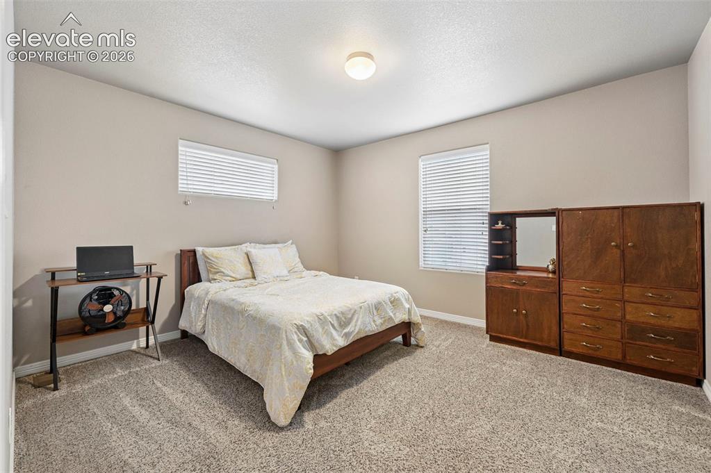 Image 19 of 24: Carpeted room featuring neutral wall tones and two windows with horizontal