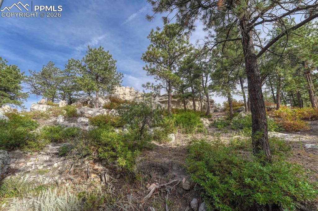 Image 18 of 48: Other