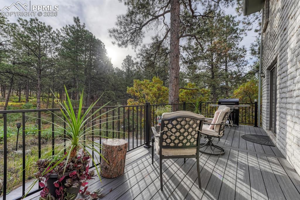 Image 19 of 48: Deck