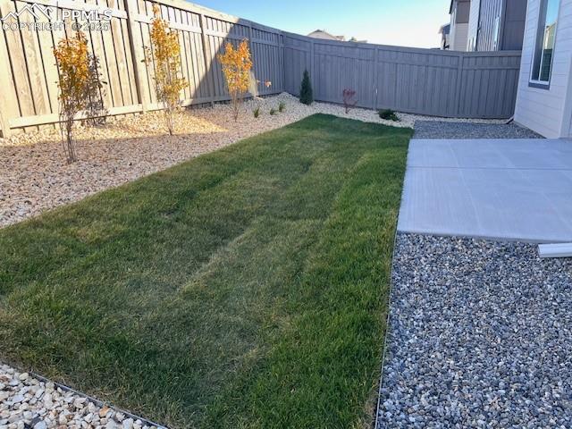 Image 24 of 24: Yard