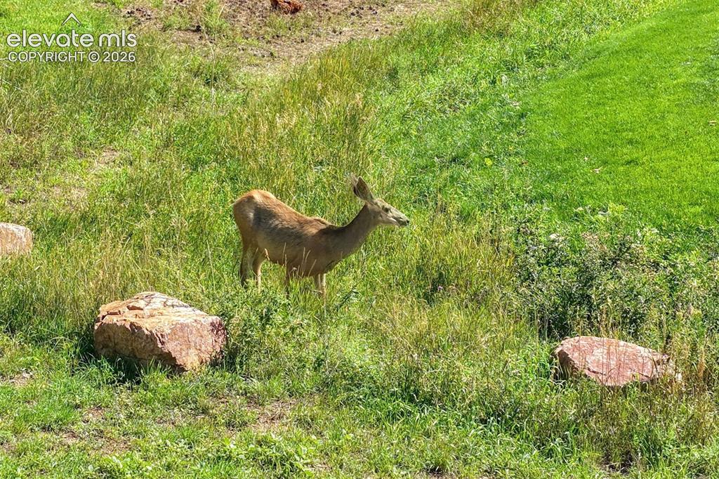 Image 49 of 50: Other