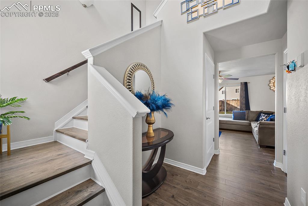 Image 4 of 36: Other