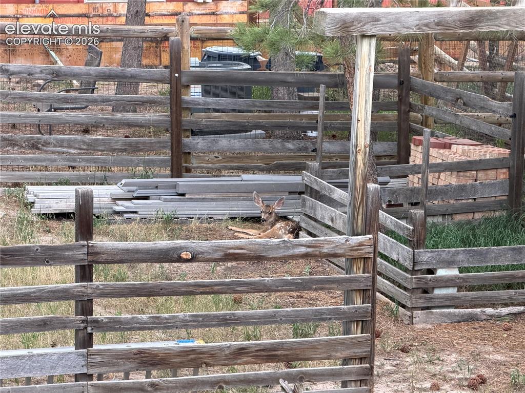 Image 48 of 48: Other