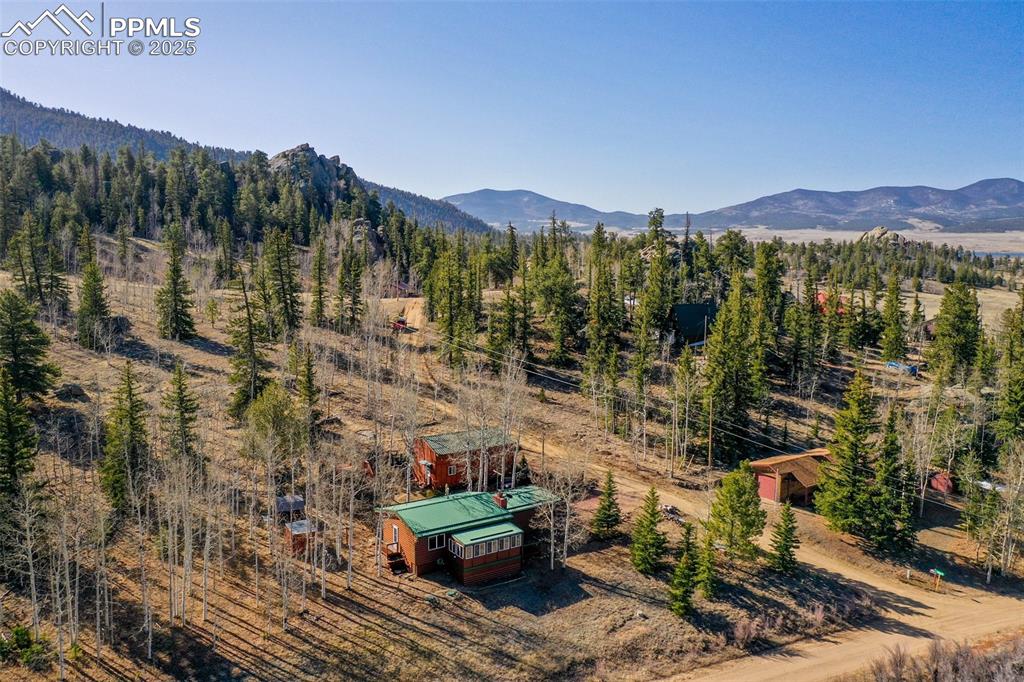 Image 24 of 38: Bird