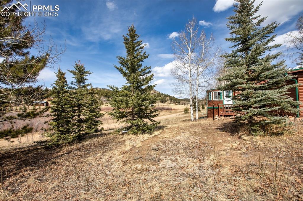 Image 25 of 38: View of yard