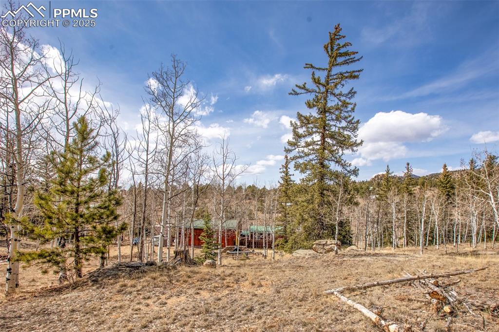 Image 26 of 38: Other