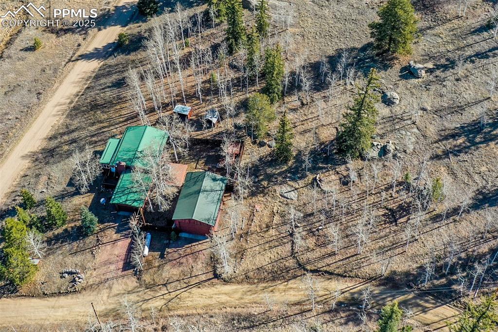 Image 27 of 38: Bird